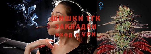 тгк Бронницы