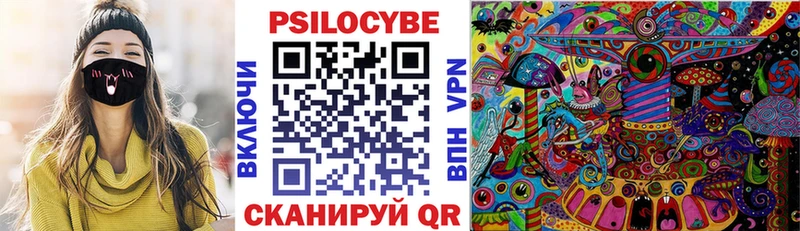 Псилоцибиновые грибы Psilocybine cubensis  где можно купить наркотик  Вилючинск 